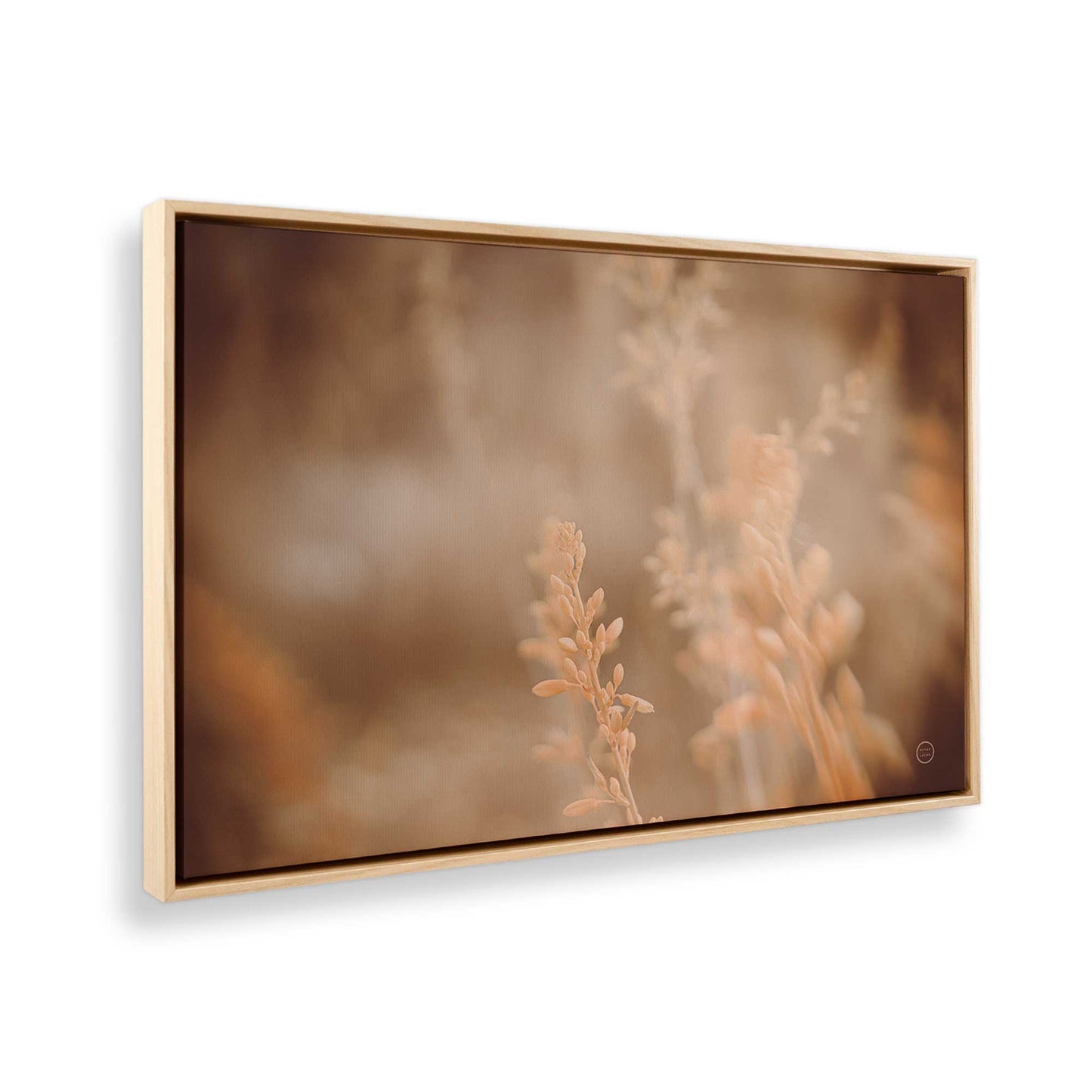 [Color:American Maple], Picture of the corner of the art