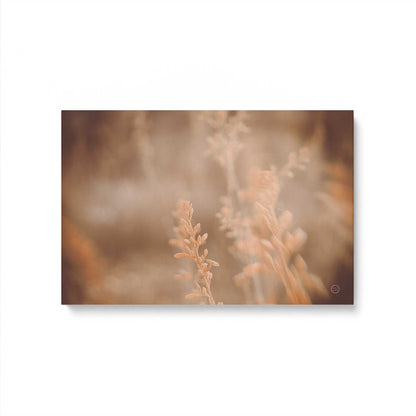 [Color:Stretched Canvas], Picture of art