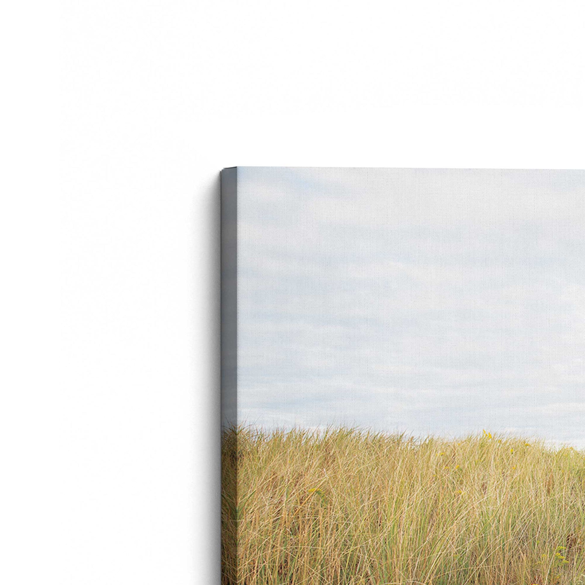 [Color:Stretched Canvas], Picture of the corner of the art