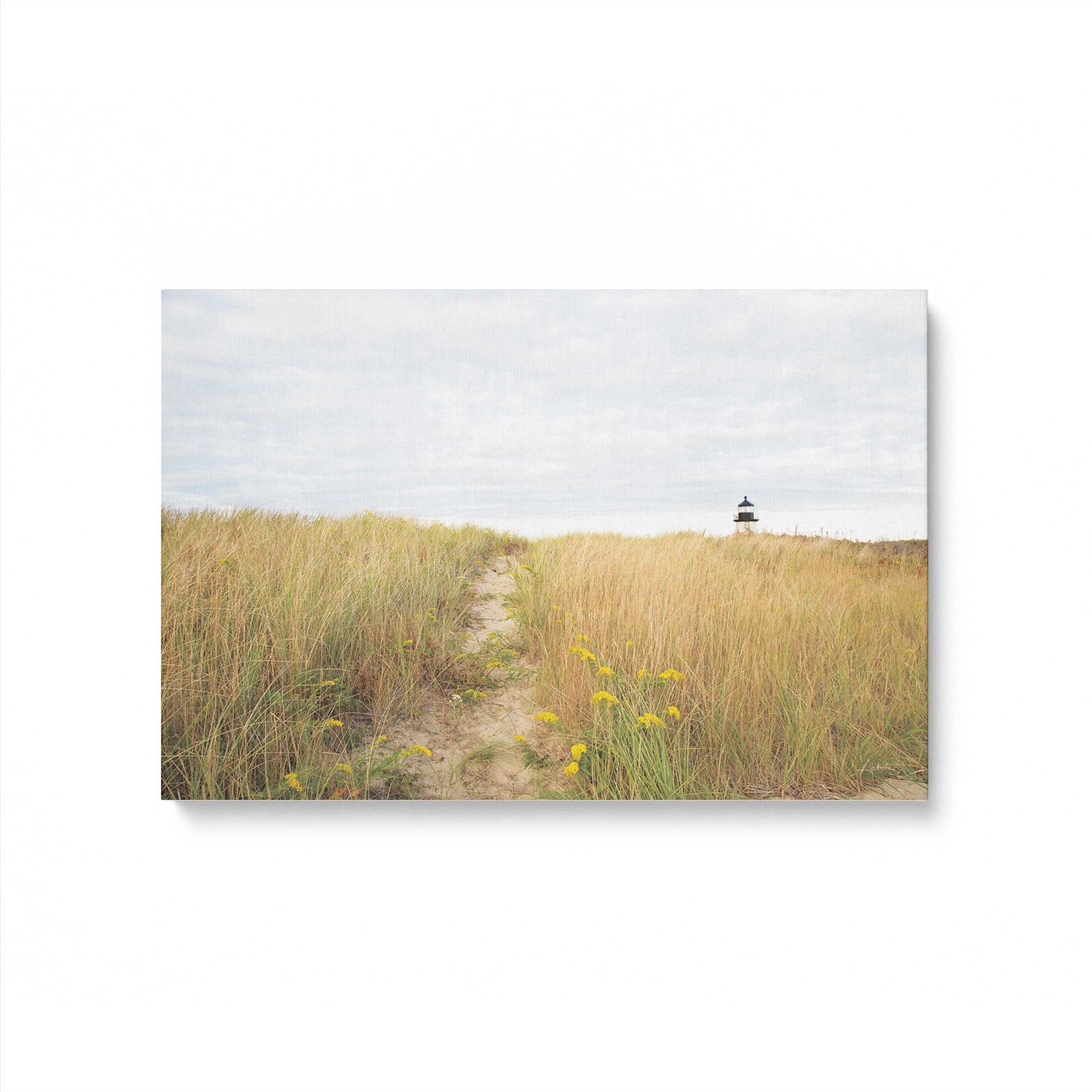 [Color:Stretched Canvas], Picture of art