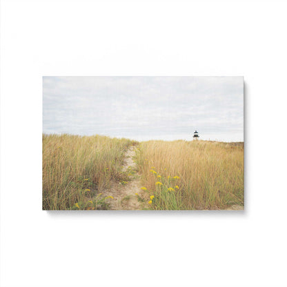 [Color:Stretched Canvas], Picture of art