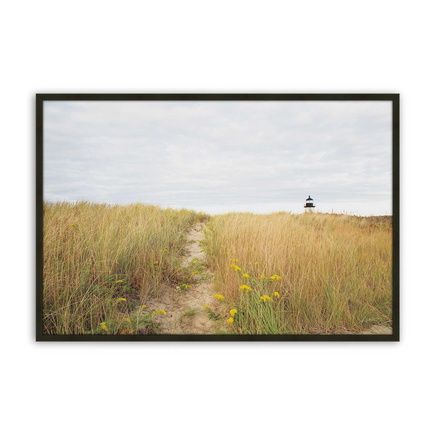 [Color:Satin Black], Front of the art