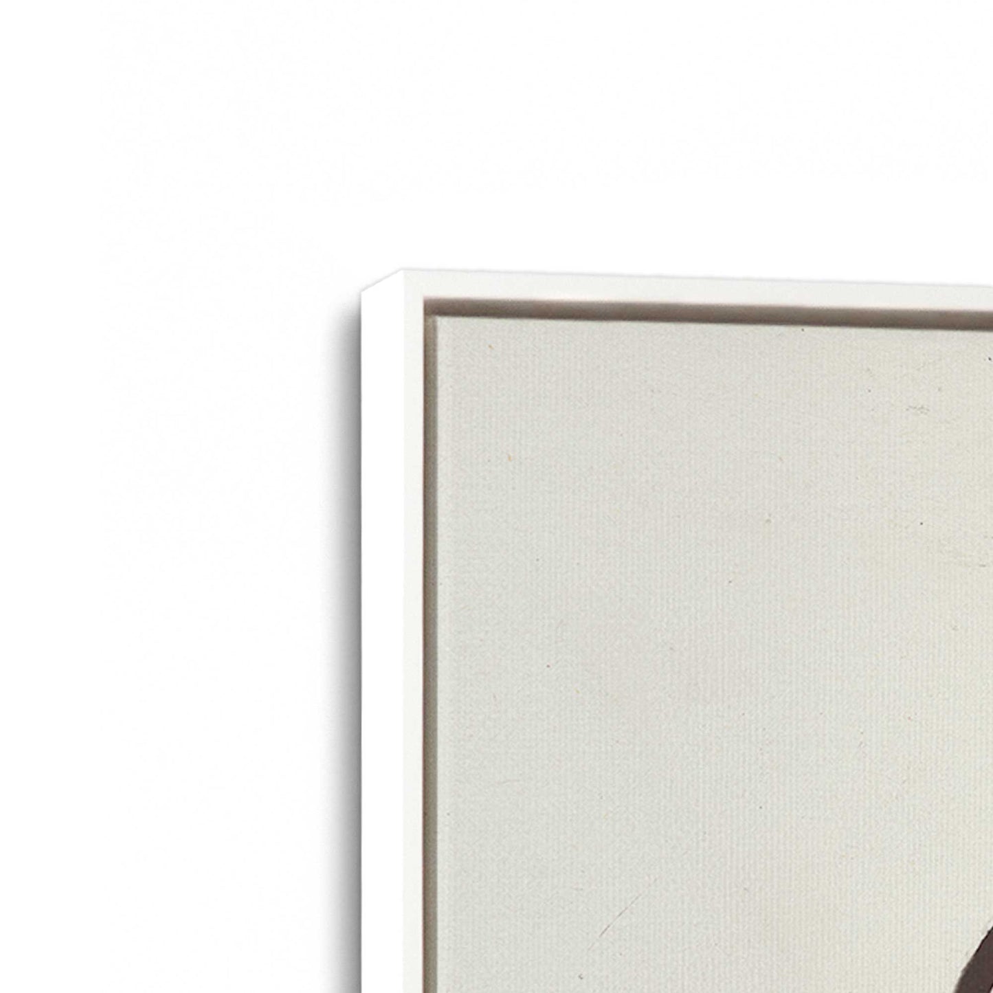 [Color:Opaque White], Picture of art in a White frame at an angle
