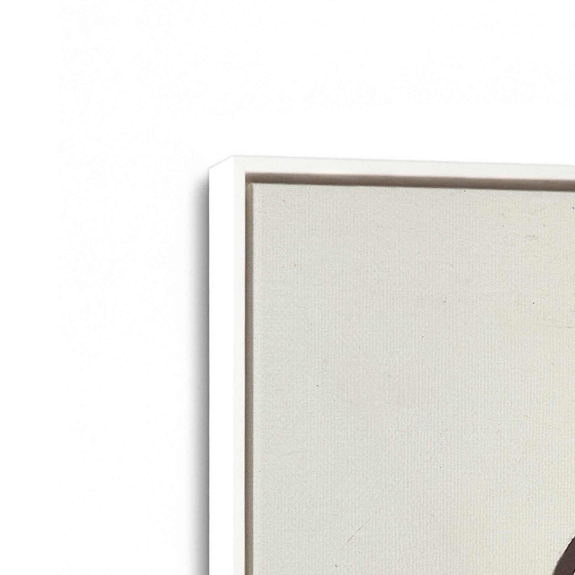 [Color:Opaque White], Picture of art in a White frame at an angle