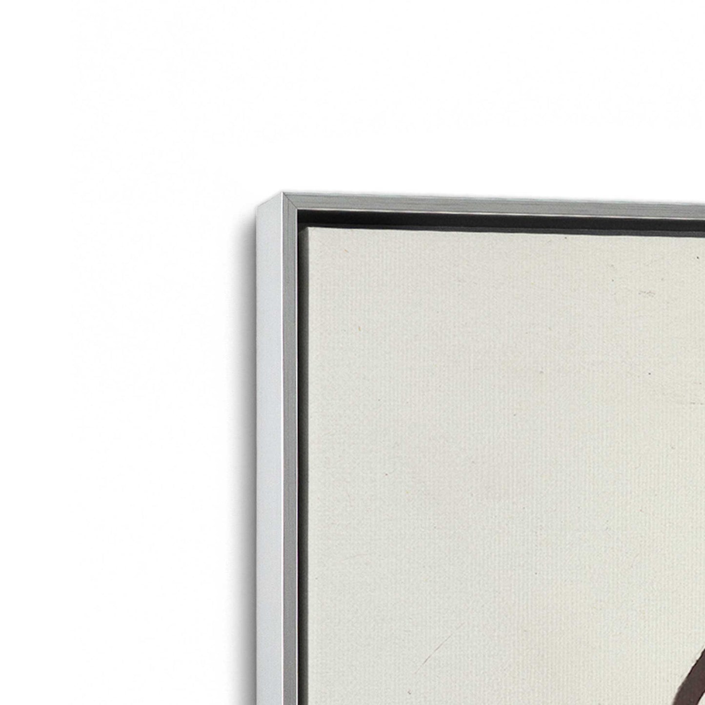 [Color:Polished Chrome], Picture of art in a Polished Chrome frame at an angle