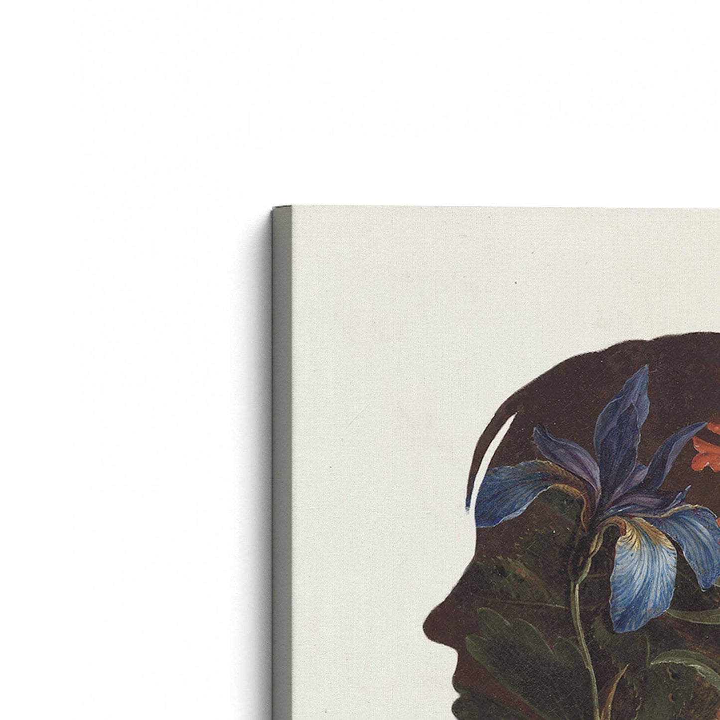 [Color:Stretched Canvas], Picture of the corner of the art