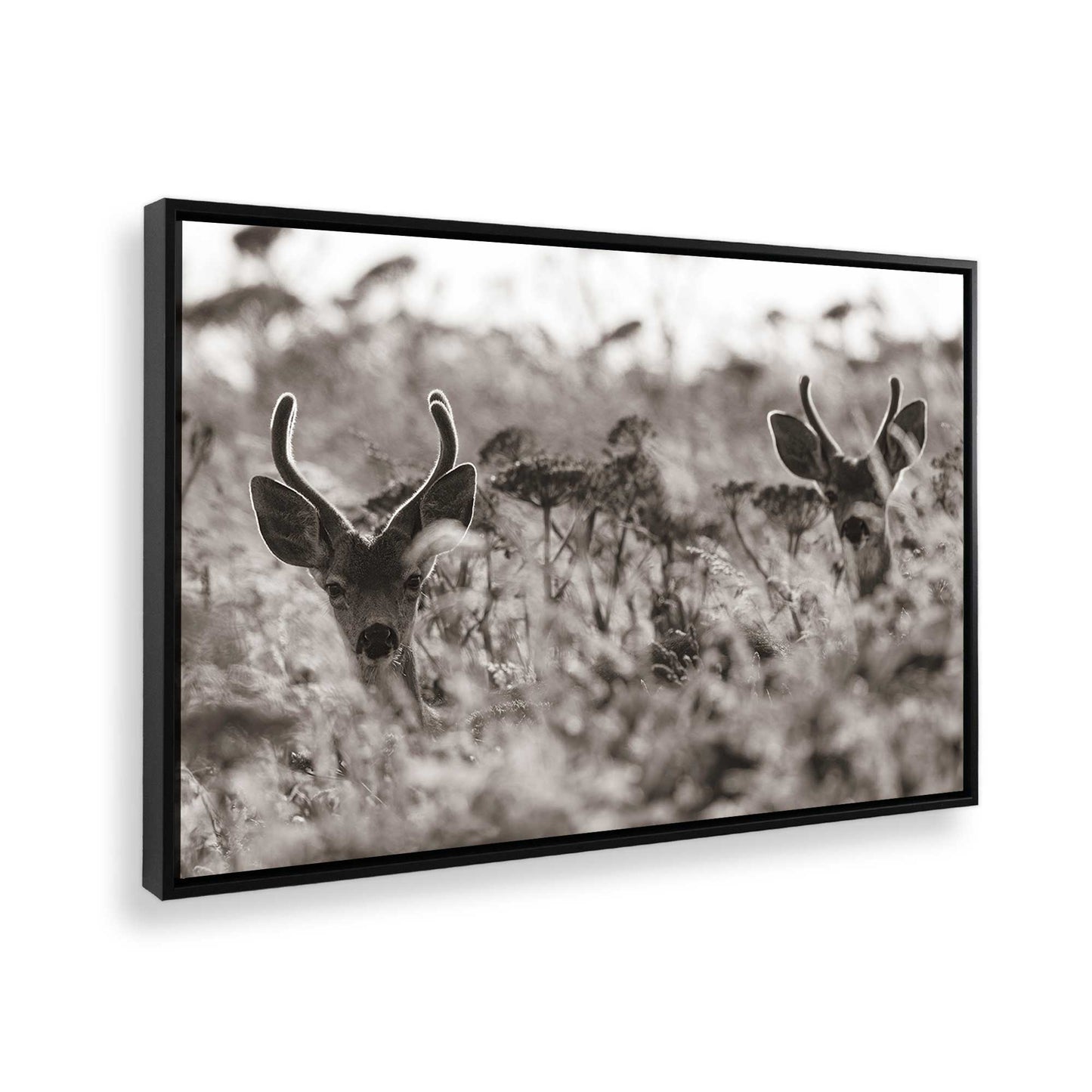 [Color:Satin Black], Picture of the corner of the art