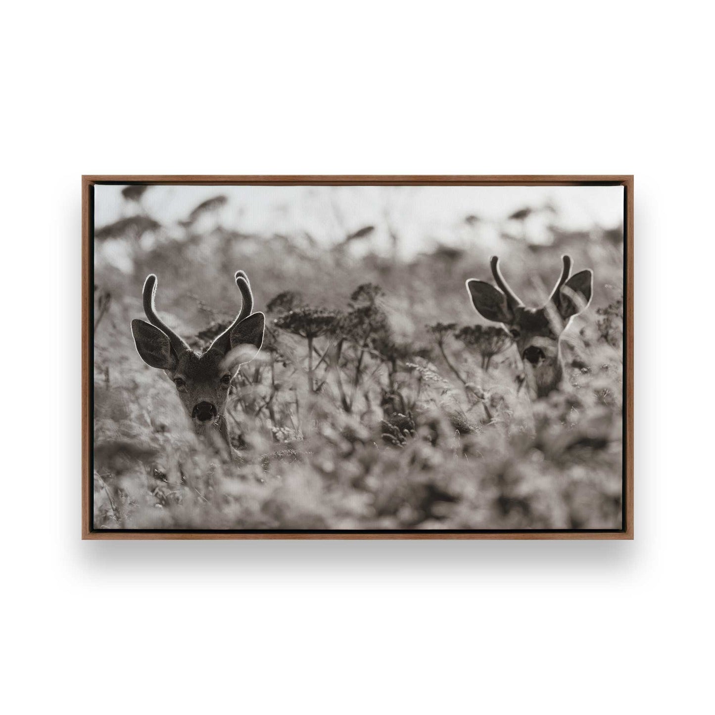 [Color:Walnut], Picture of art in a Walnut frame