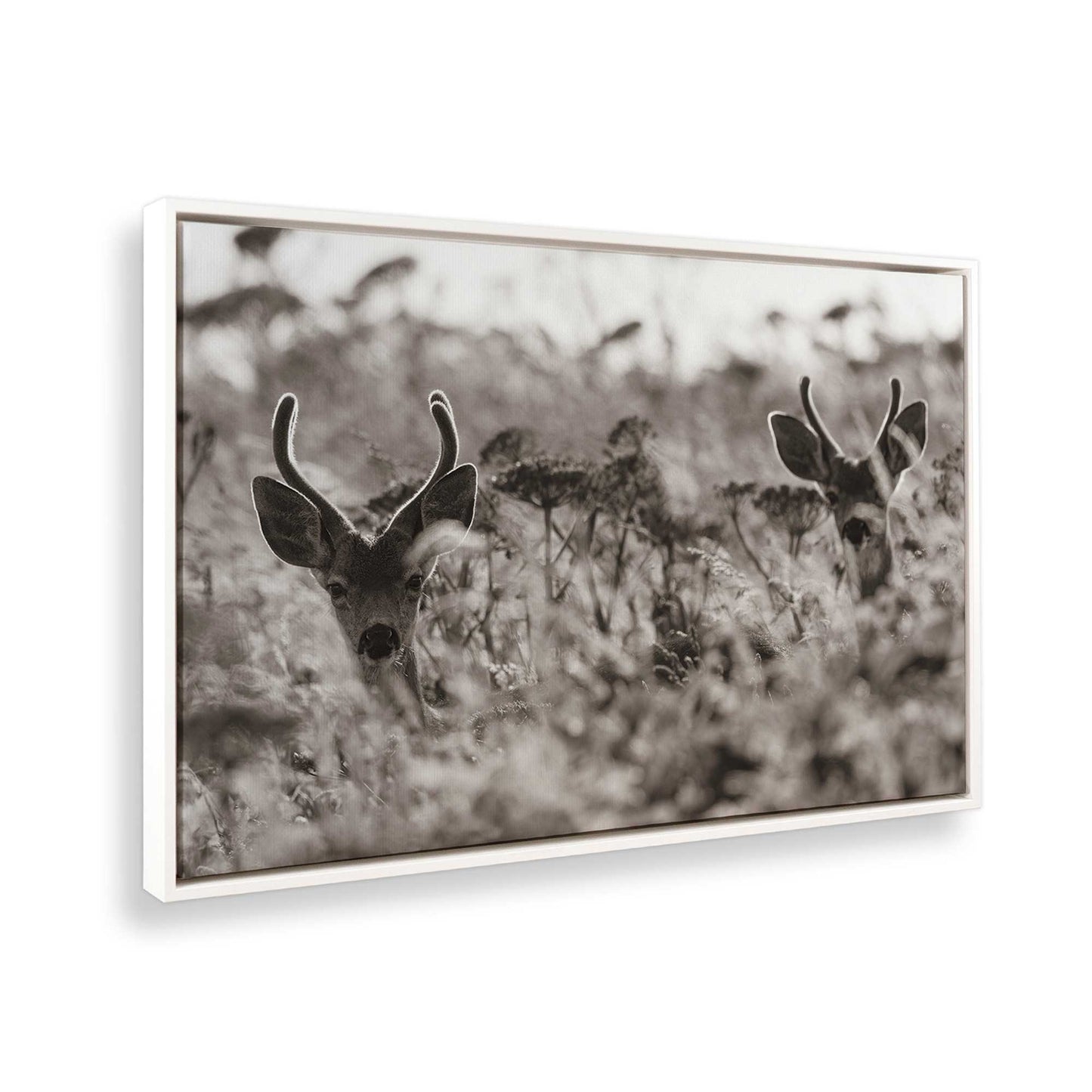 [Color:Opaque White], Picture of the corner of the art