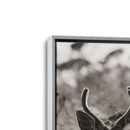 [Color:Polished Chrome], Picture of art in a Polished Chrome frame at an angle