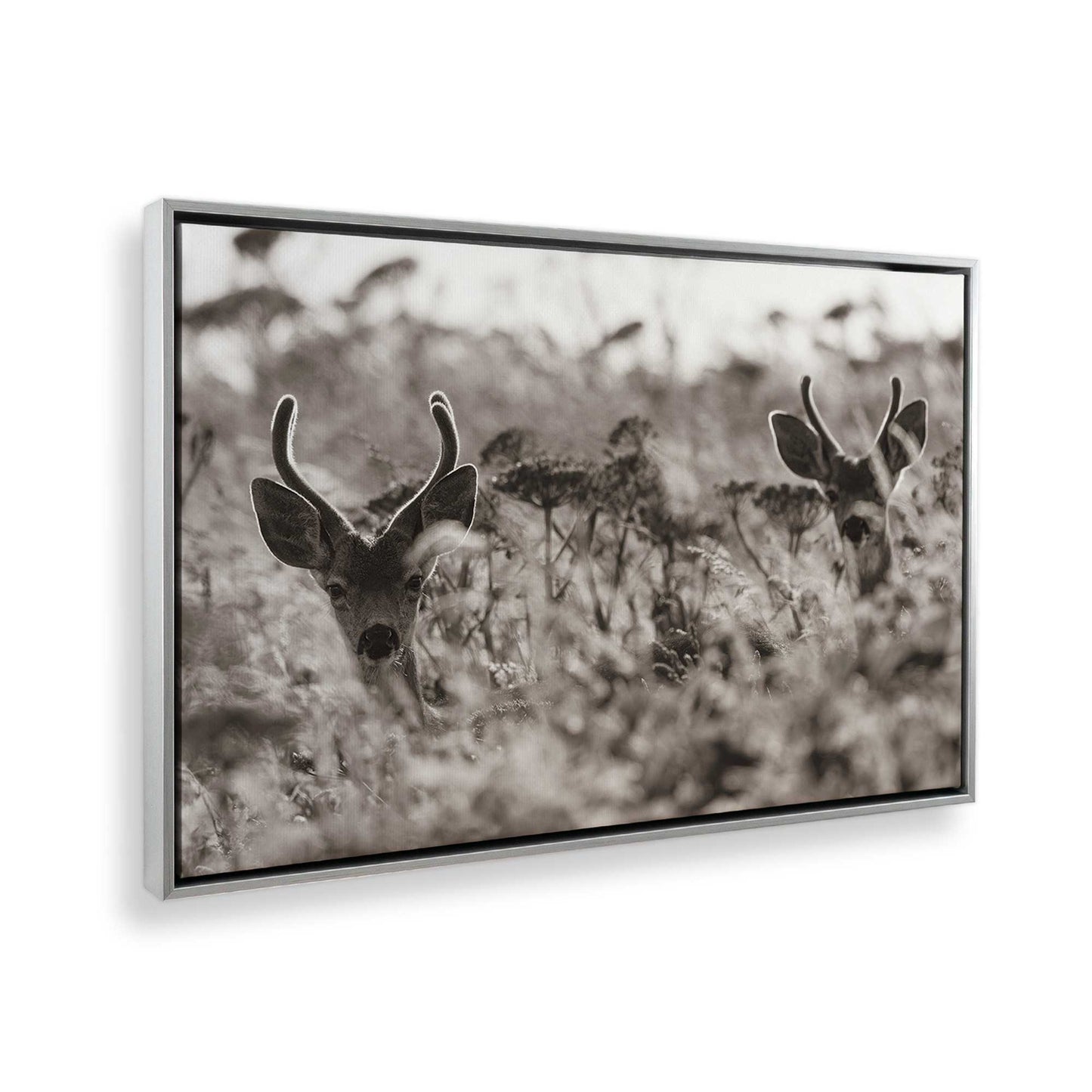 [Color:Polished Chrome], Picture of the corner of the art