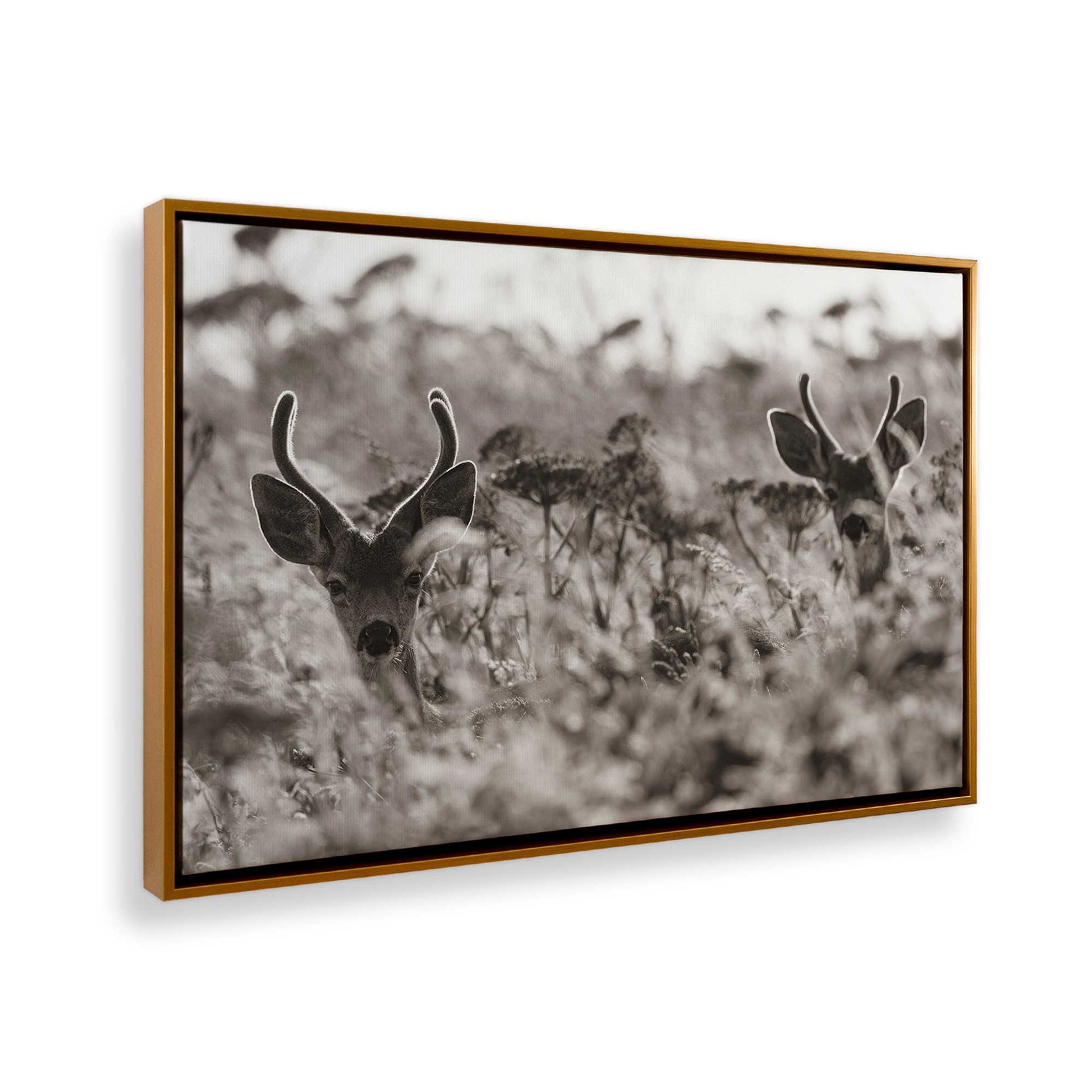 [Color:Polished Gold], Picture of the corner of the art