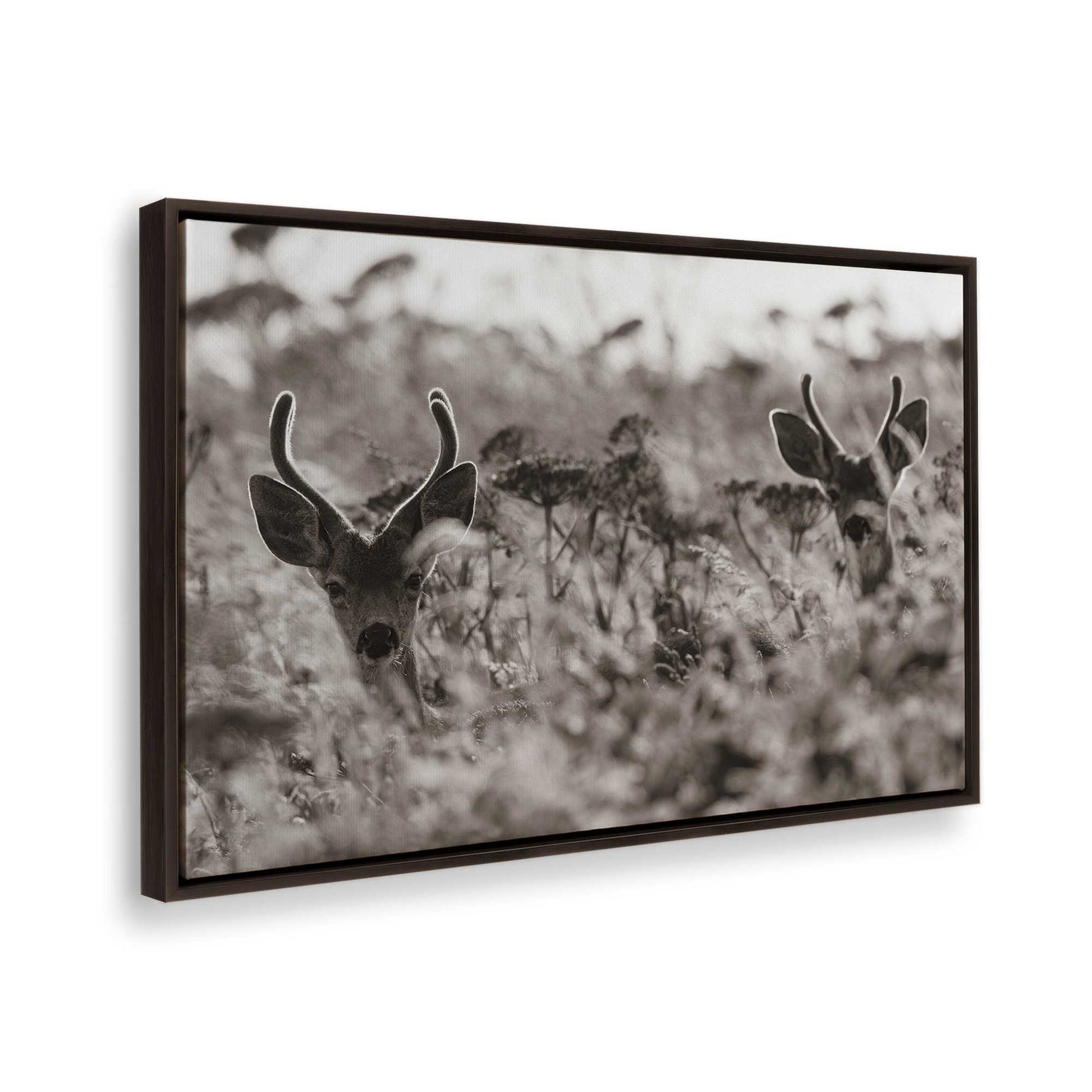 [Color:Espresso], Picture of the corner of the art