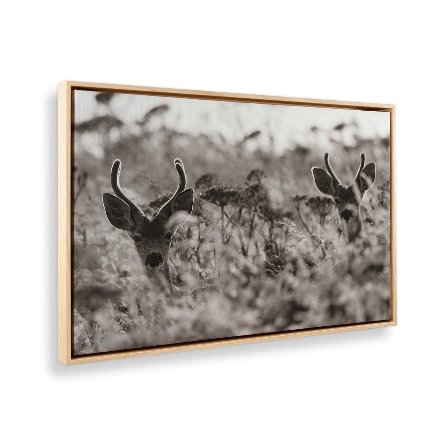 [Color:American Maple], Picture of the corner of the art