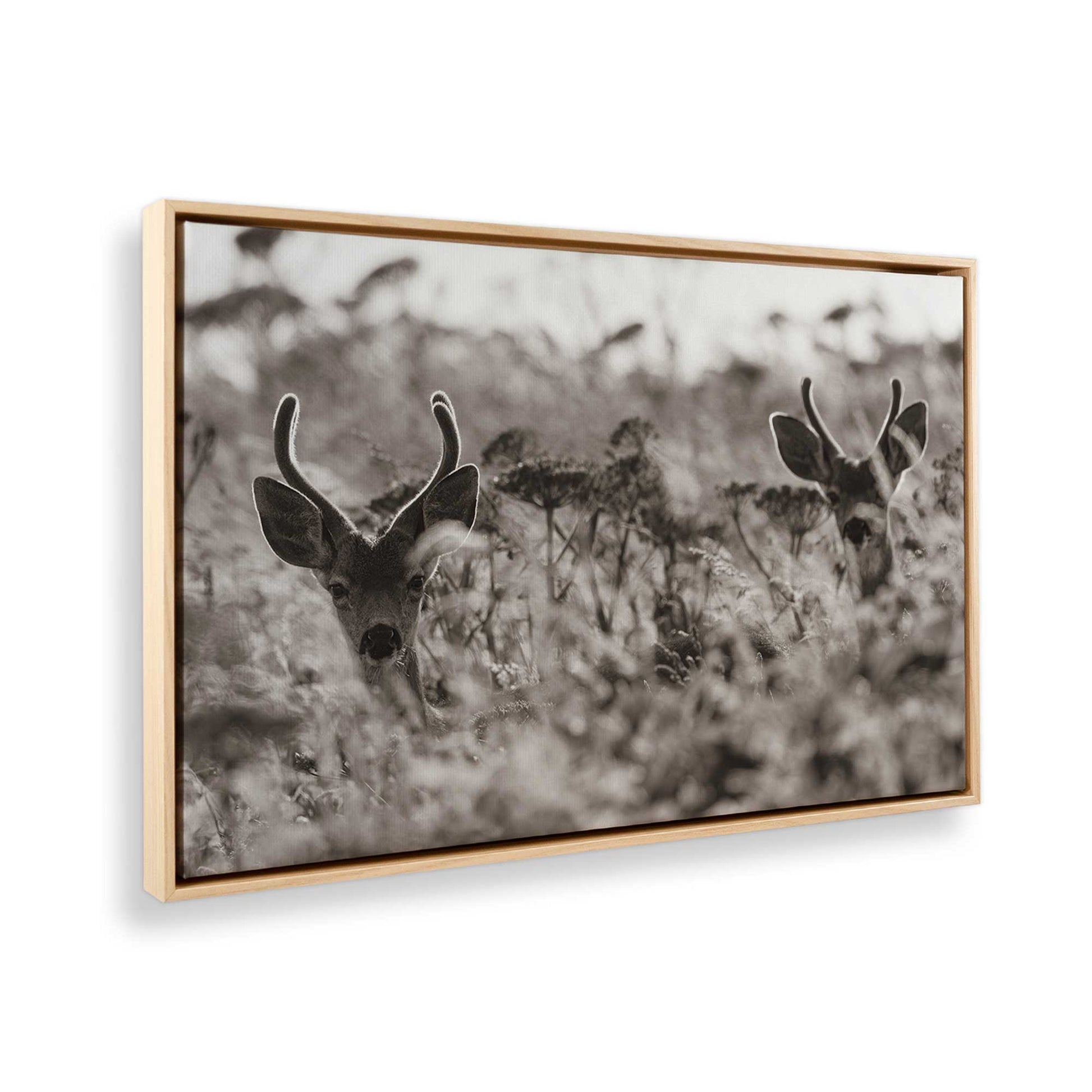 [Color:American Maple], Picture of the corner of the art