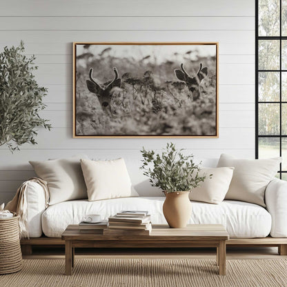 Picture of art in a room