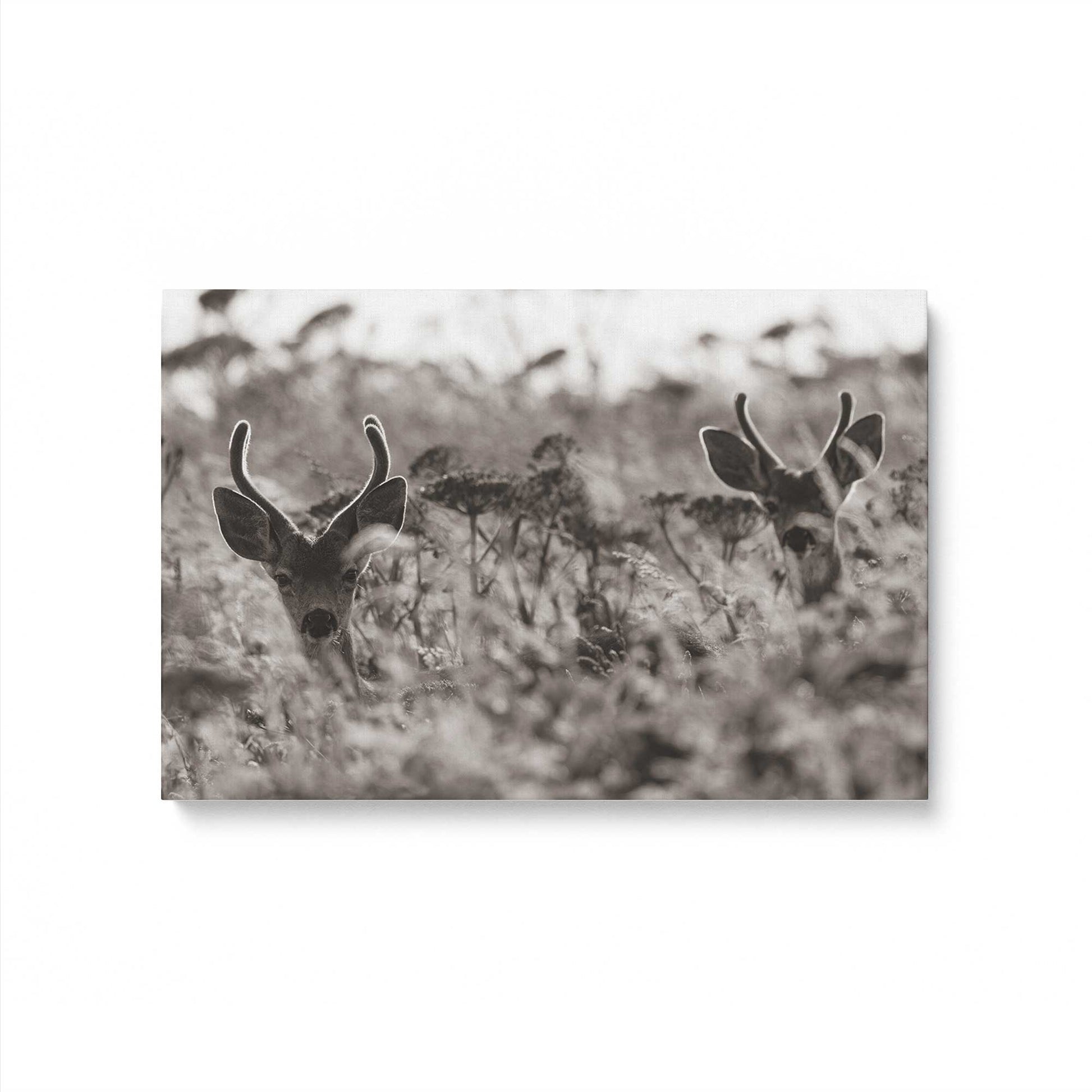 [Color:Stretched Canvas], Picture of art