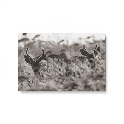 [Color:Stretched Canvas], Picture of art