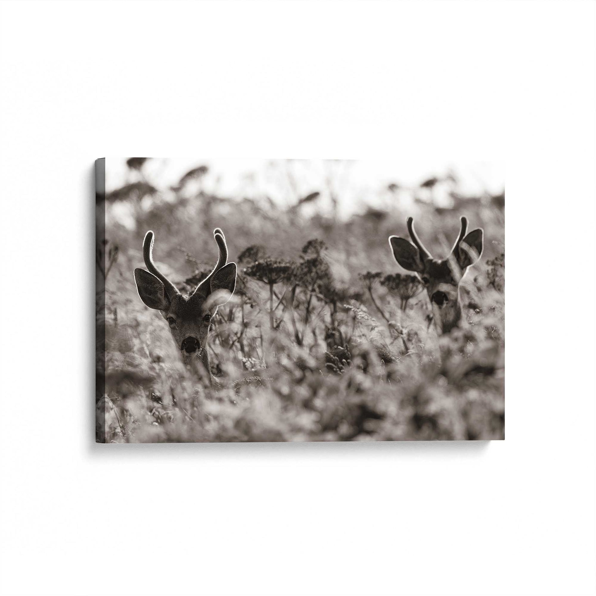 [Color:Stretched Canvas], Picture of art at an angle