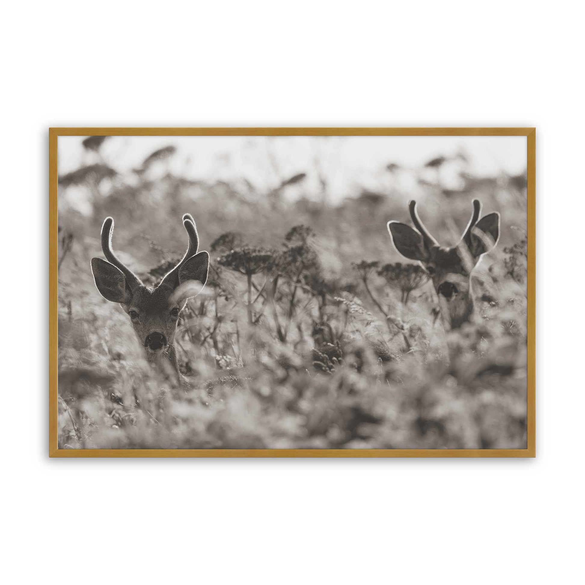 [Color:Polished Gold], Picture of art in a Polished Gold frame