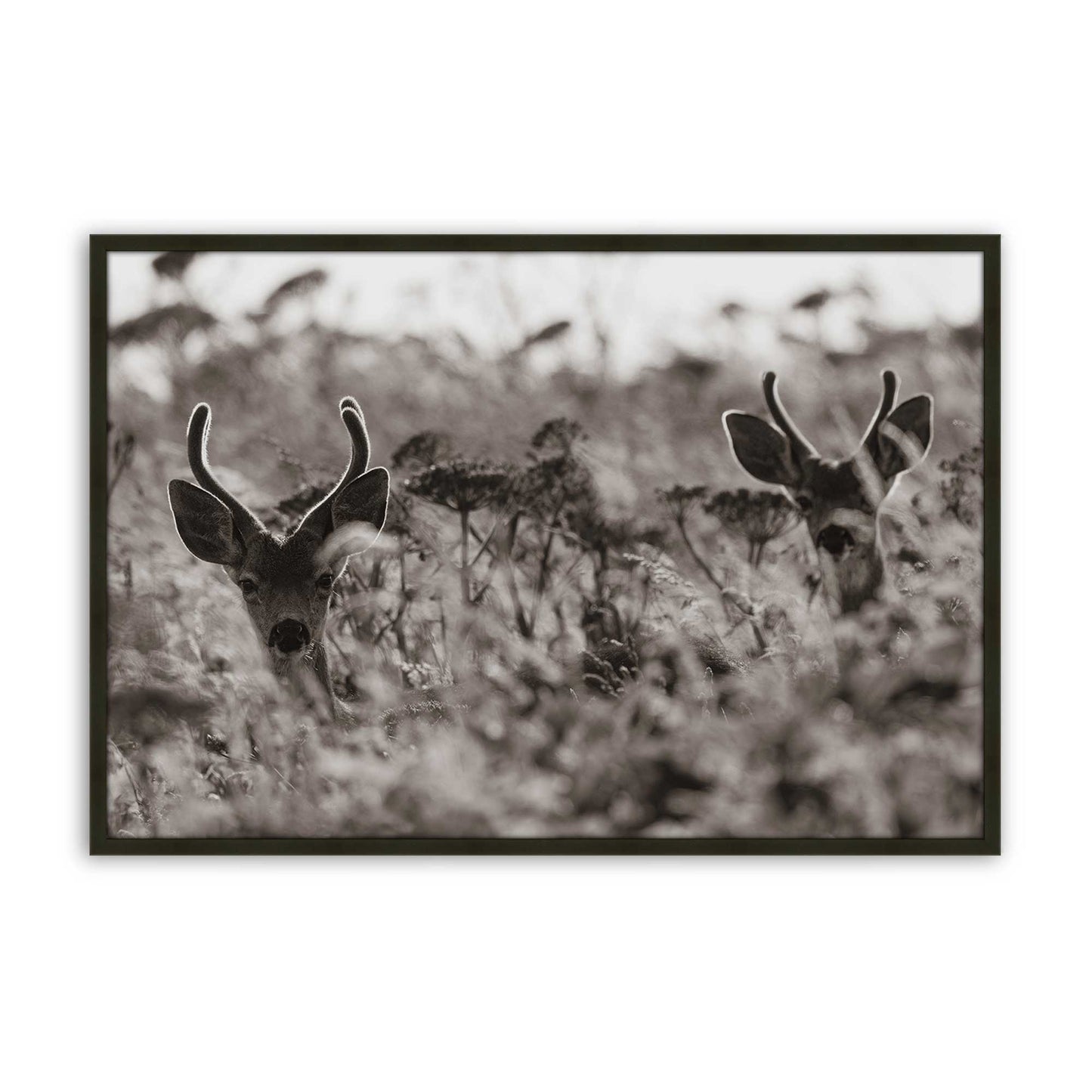 [Color:Satin Black], Front of the art