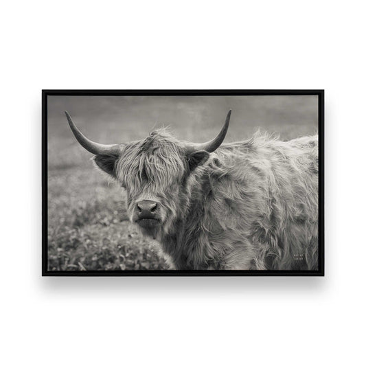 [Color:Satin Black], Front of the art