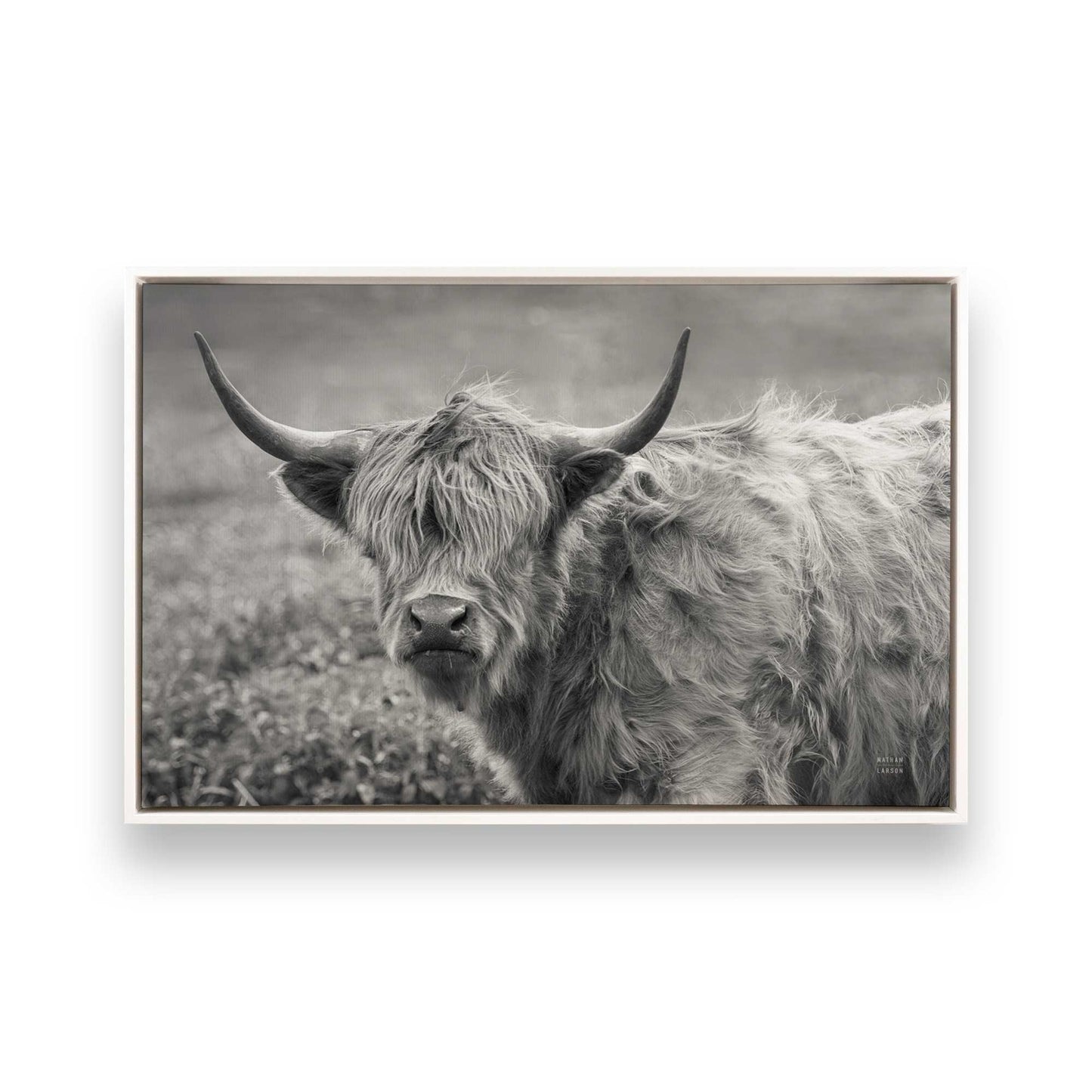 [Color:Opaque White], Picture of art in a White frame