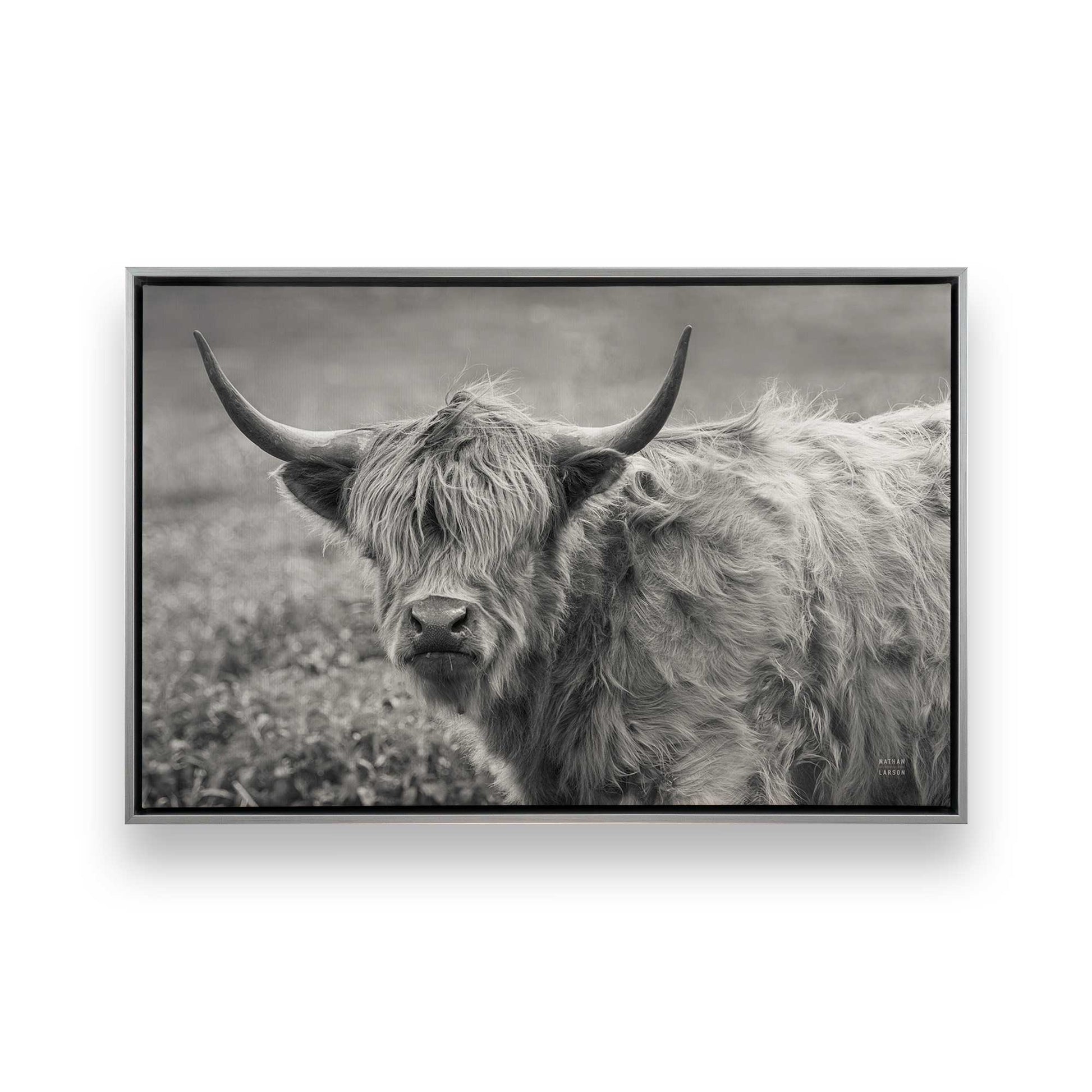 [Color:Polished Chrome], Picture of art in a Polished Chrome frame