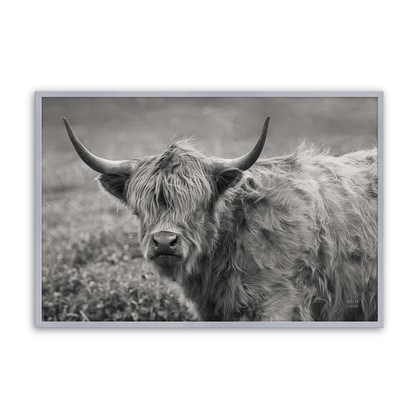 [Color:Polished Chrome], Picture of art in a Polished Chrome frame
