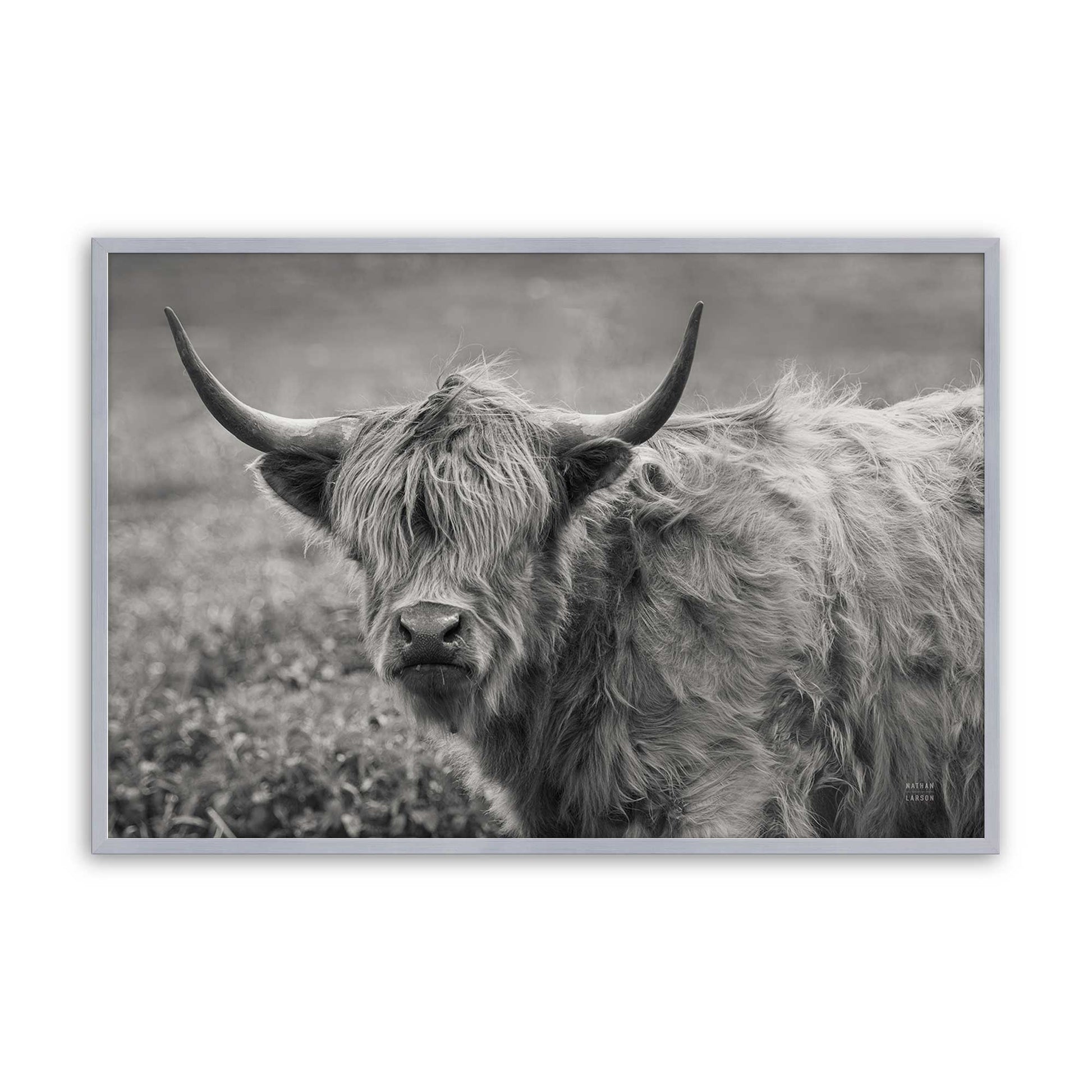 [Color:Polished Chrome], Picture of art in a Polished Chrome frame