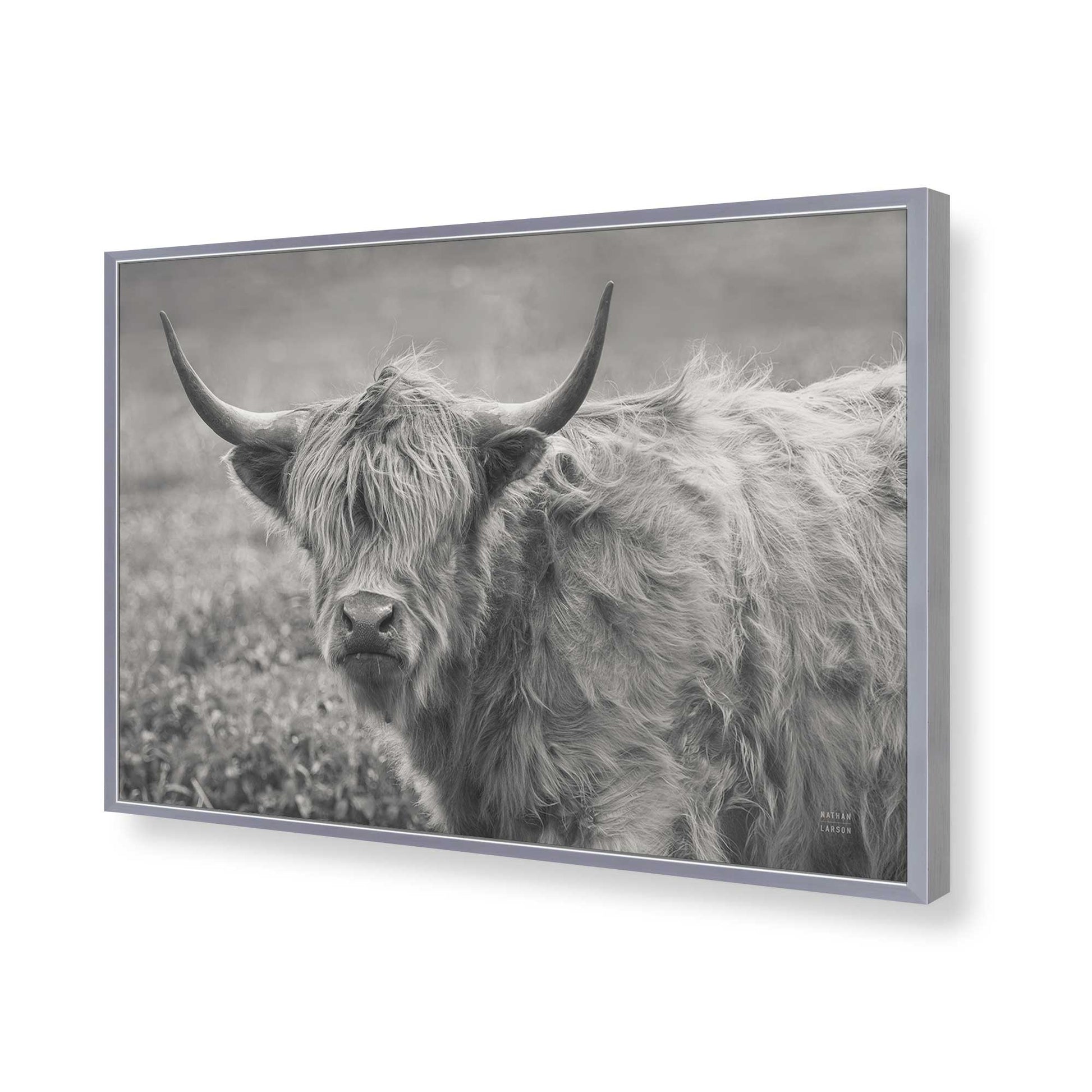 [Color:Polished Chrome], Picture of art in a Polished Chrome frame of the corner