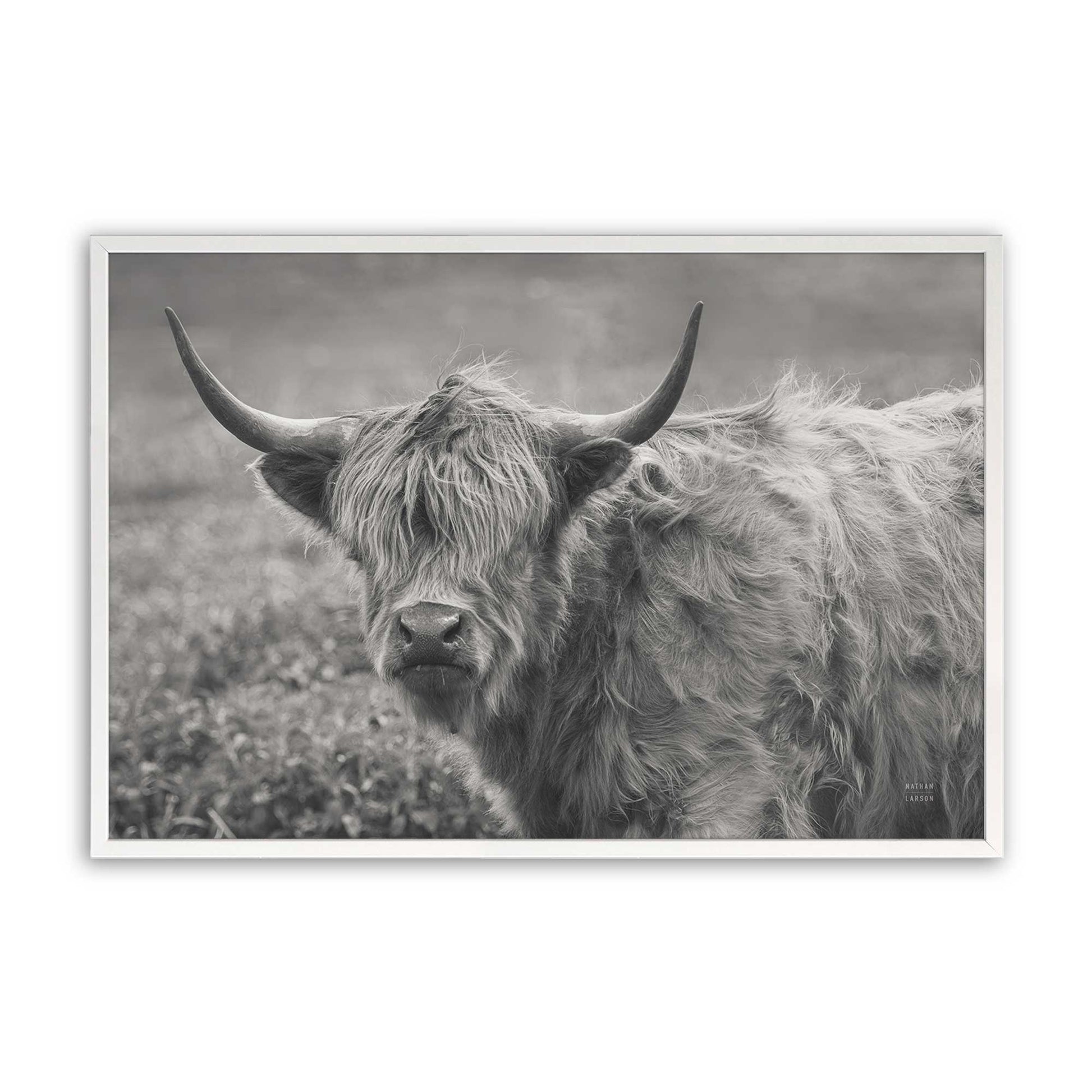 [Color:Opaque White], Picture of art in a Opaque White frame