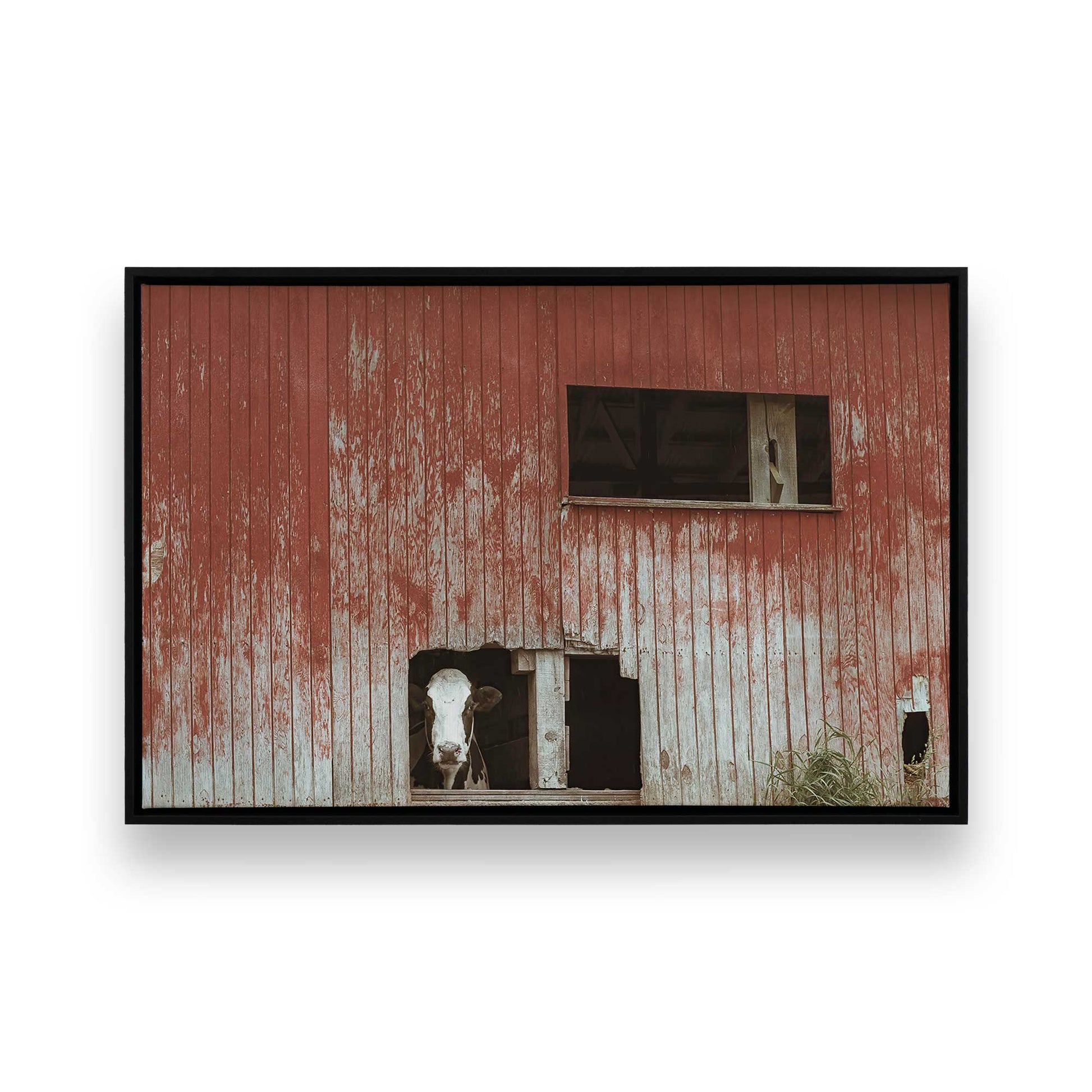 [Color:Satin Black], Picture of art in a Satin Black frame