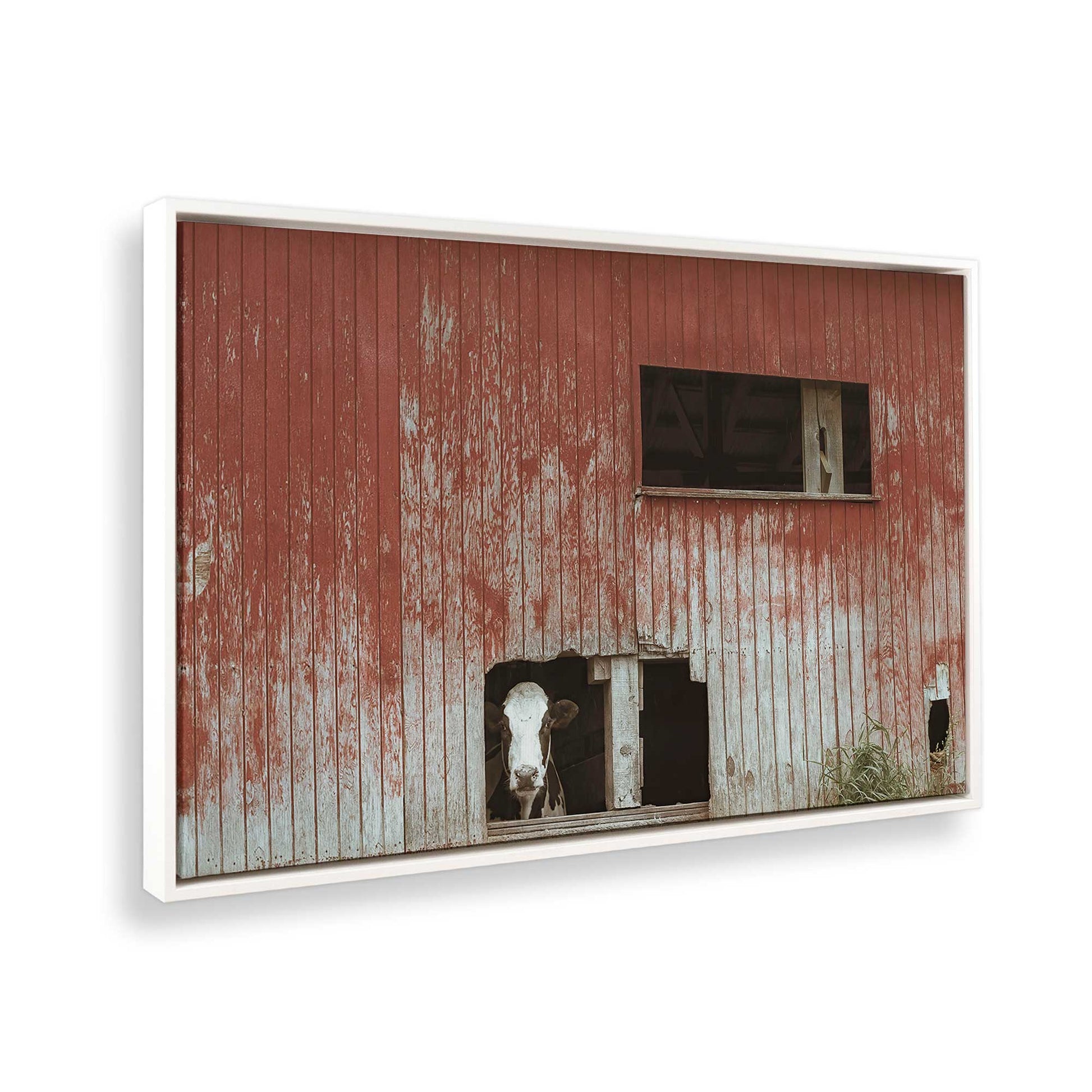 [Color:Opaque White], Picture of the corner of the art