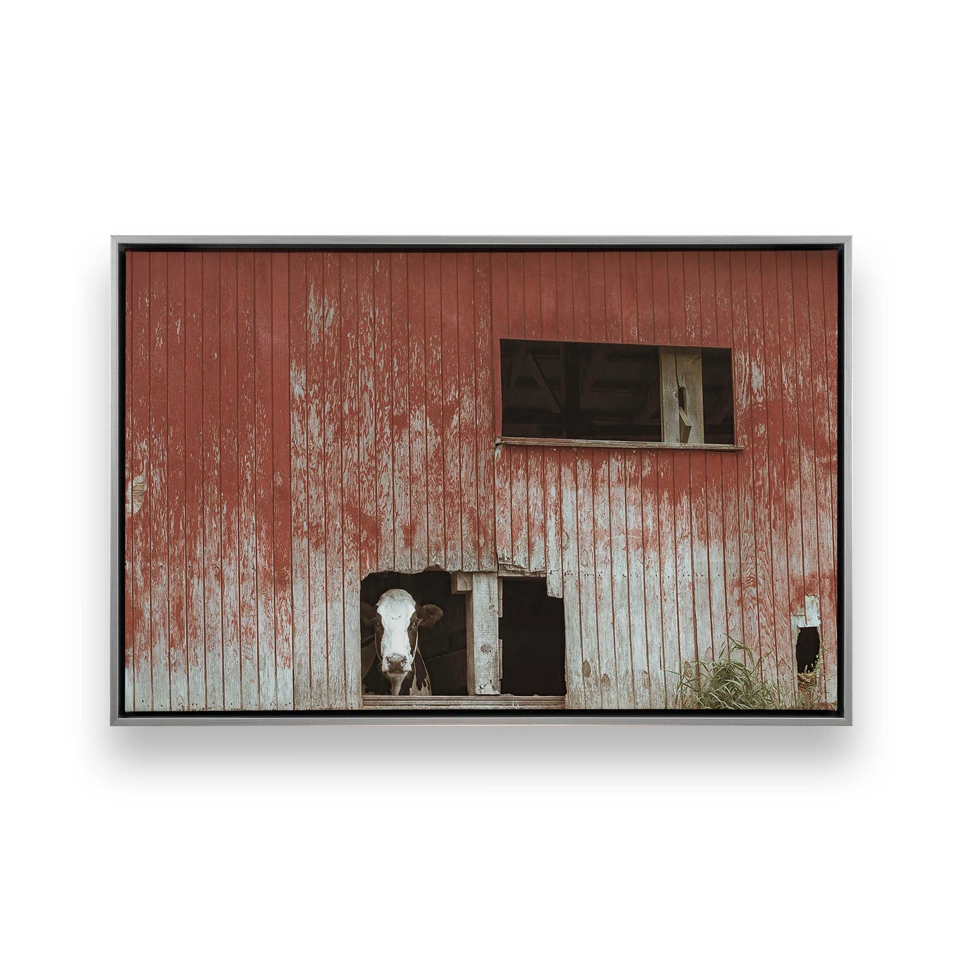 [Color:Polished Chrome], Picture of art in a Polished Chrome frame