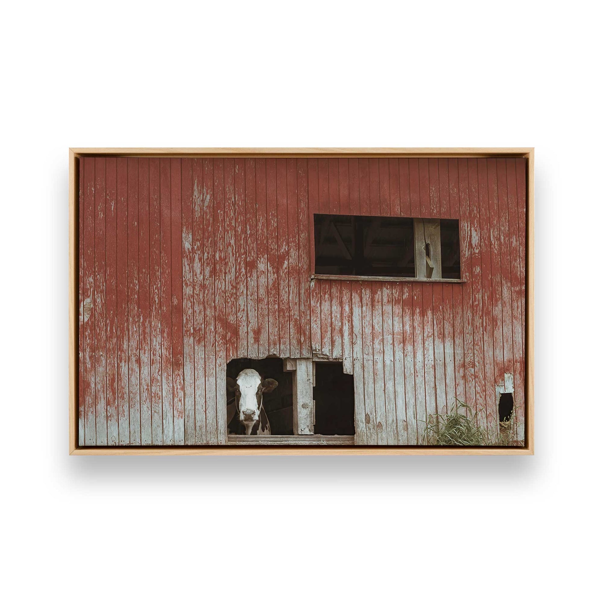 [Color:American Maple], Picture of art in a American Maple frame