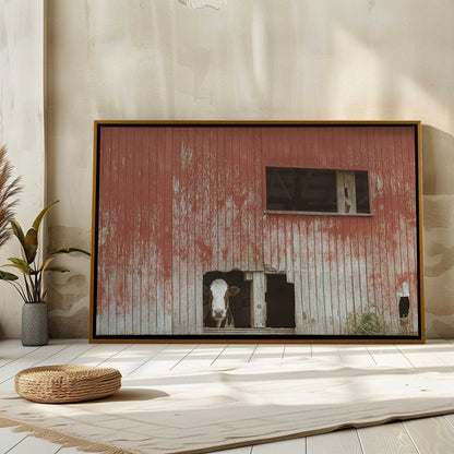 [LIFESTYLE],[SPECIAL],