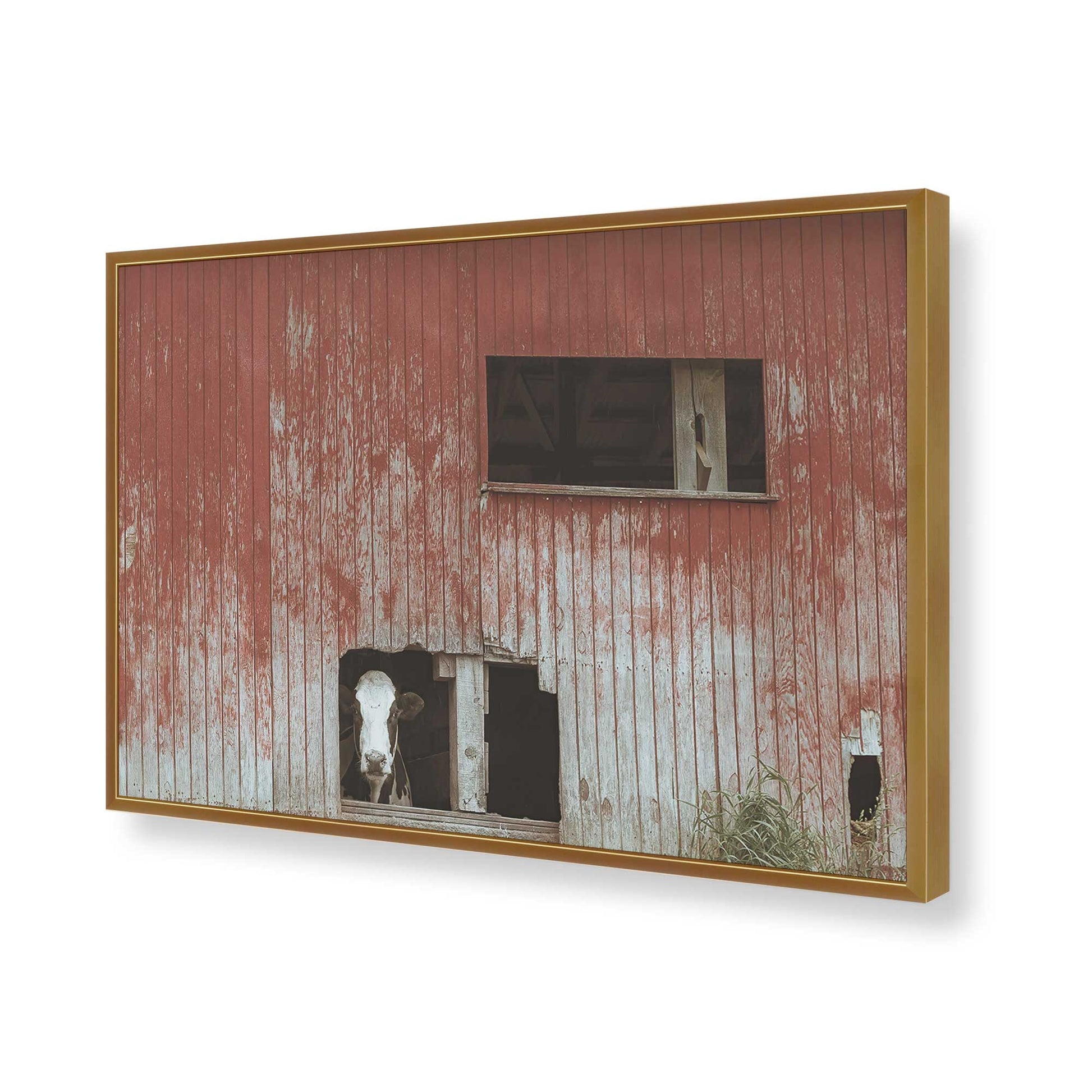 [Color:Polished Gold], Picture of art in a Polished Gold frame of the corner