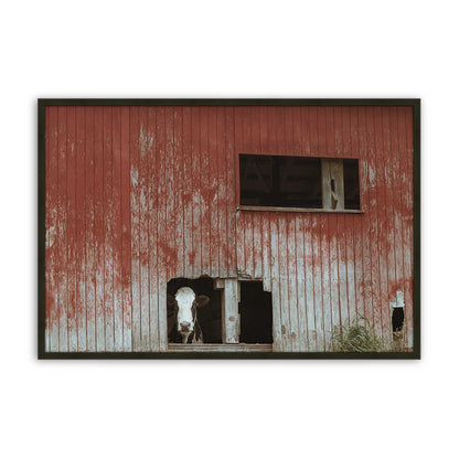 [Color:Satin Black], Front of the art