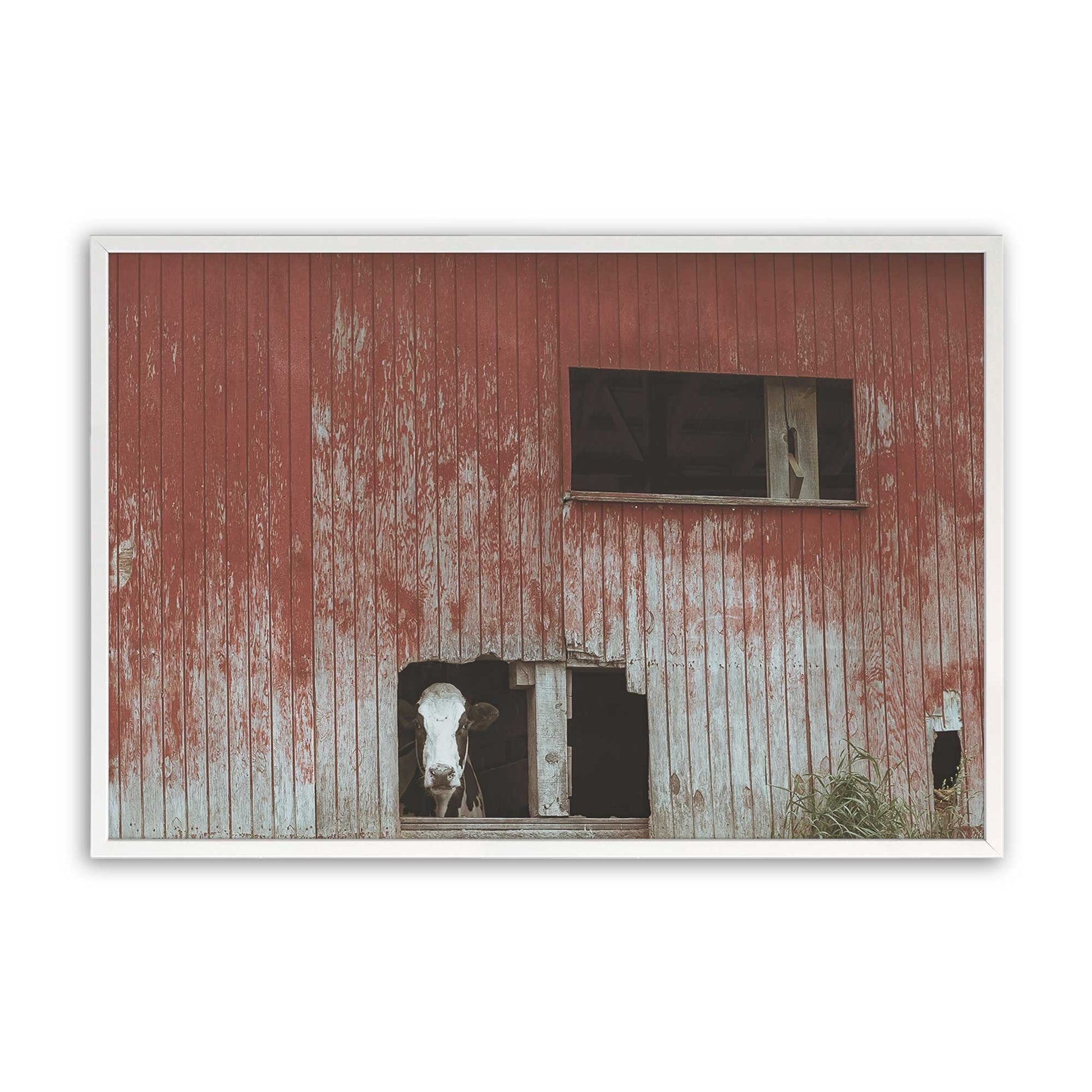 [Color:Opaque White], Picture of art in a Opaque White frame