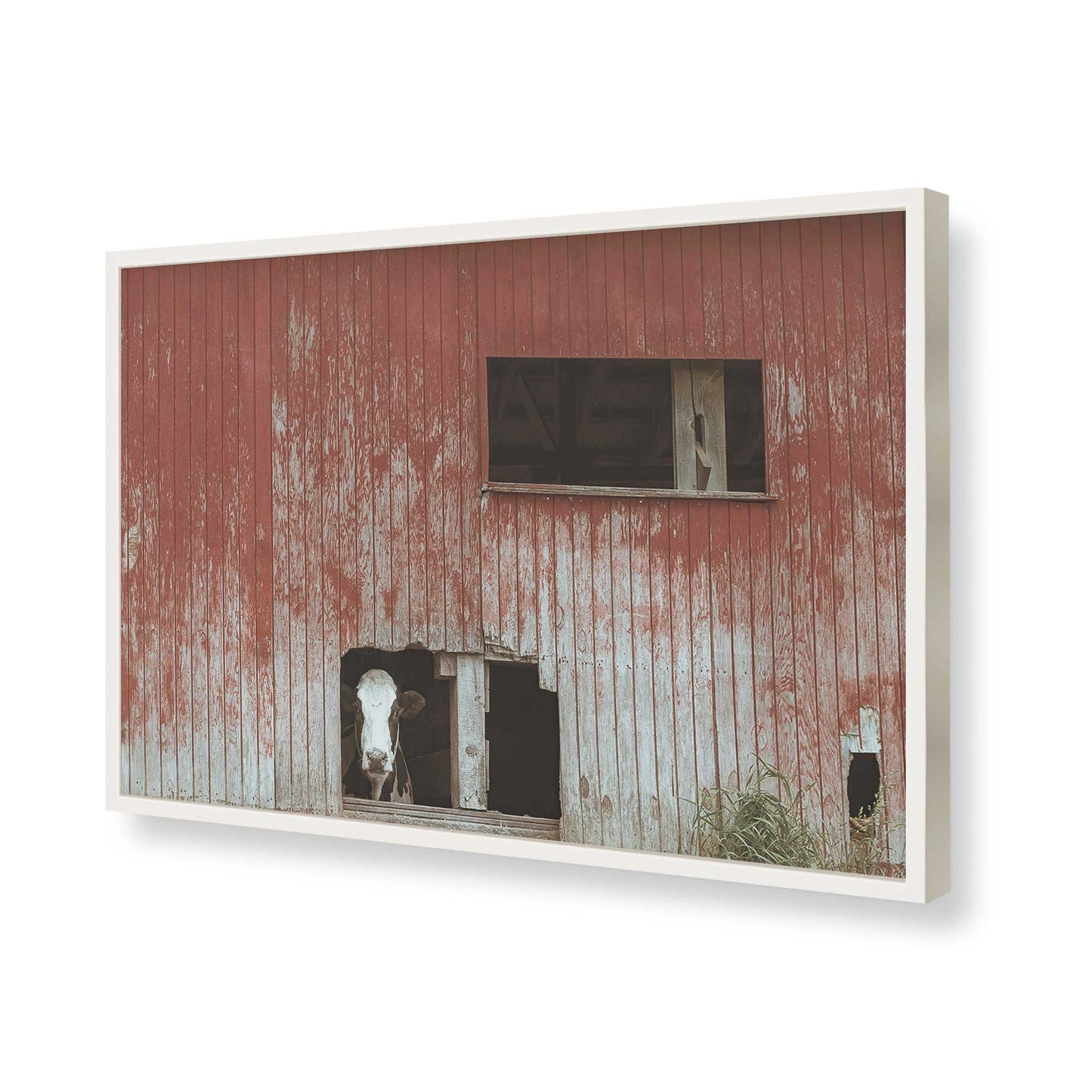 [Color:Opaque White], Picture of art in a Opaque White frame of the corner