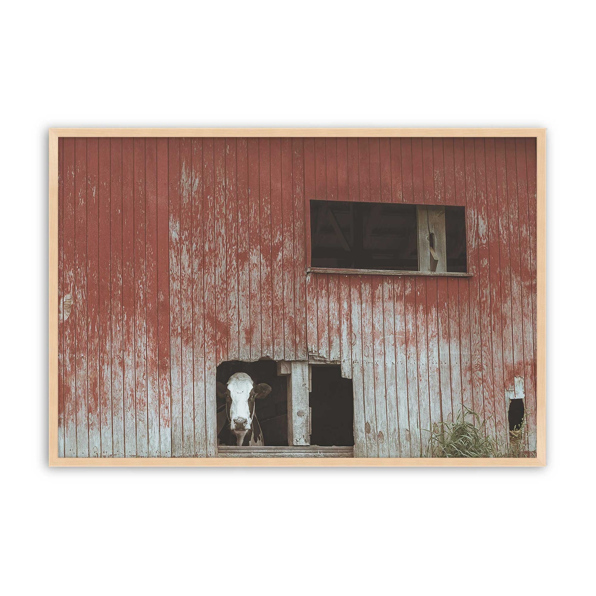 [Color:Raw Maple], Picture of art in a Raw Maple frame