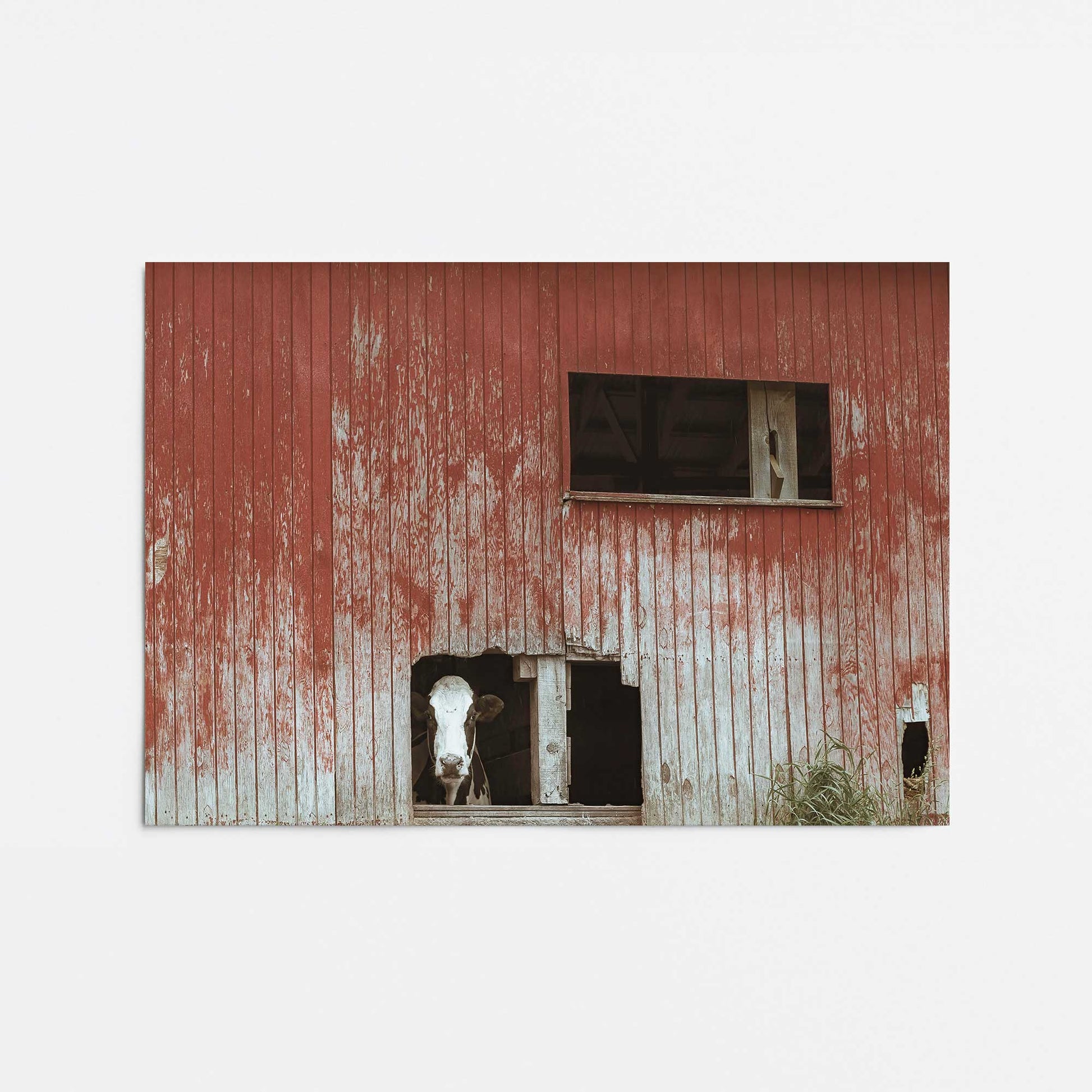 [Color:Rolled Print], Picture of close up of art