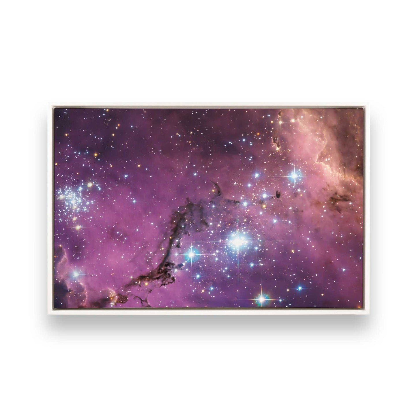 [Color:Opaque White], Picture of art in a White frame