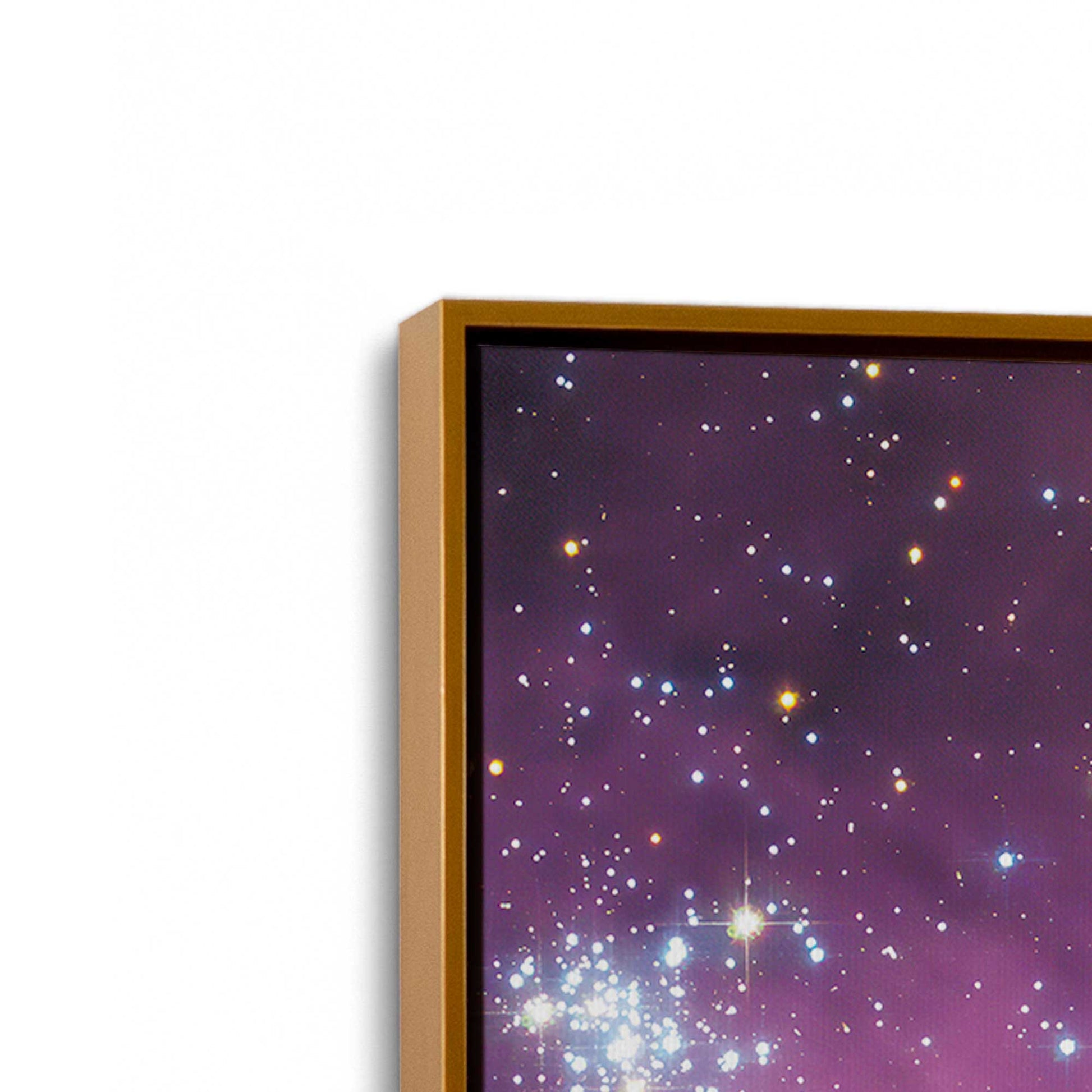 [Color:Polished Gold], Picture of art in a Polished Gold frame at an angle