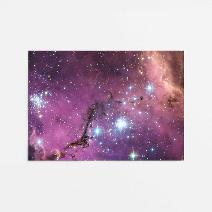 [Color:Rolled Print], Picture of close up of art