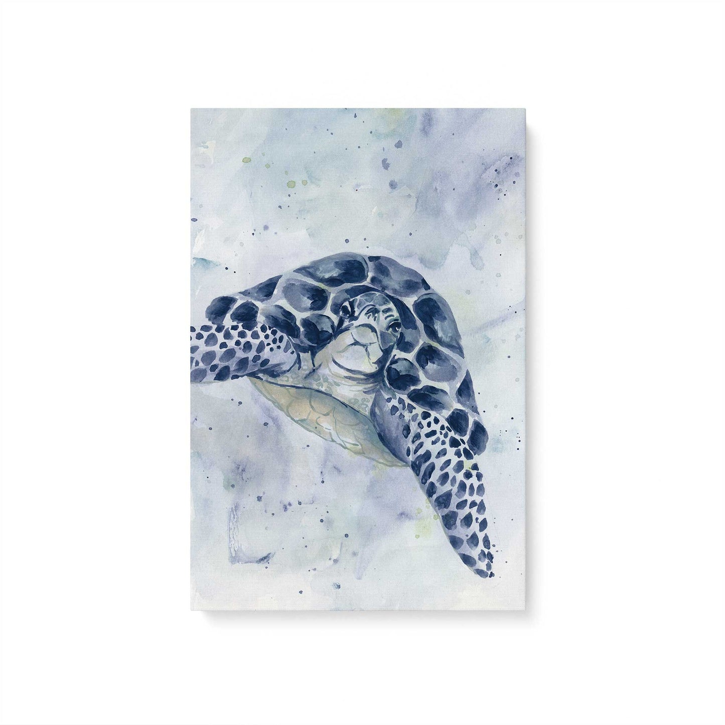 [Color:Stretched Canvas], Picture of art