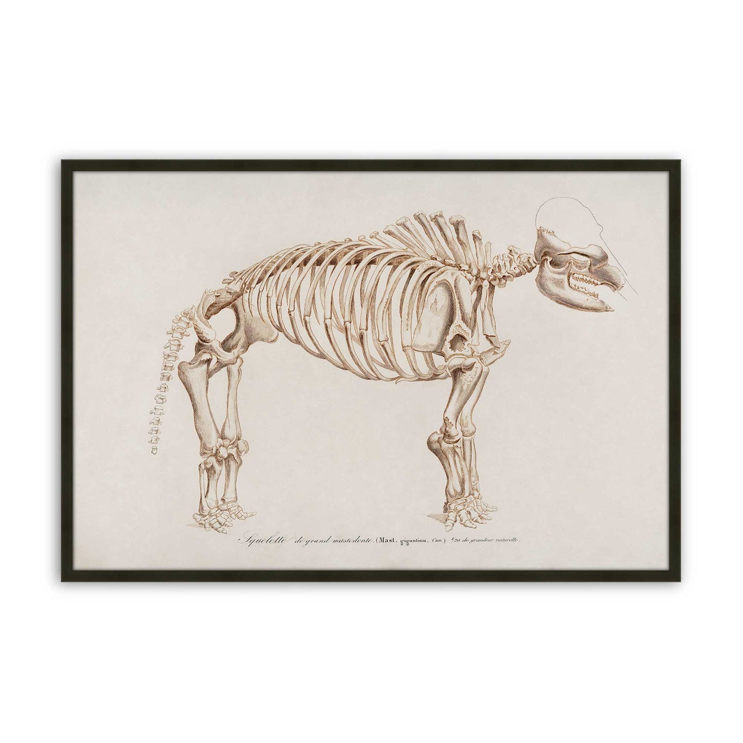 [Color:Satin Black], Picture of art in a Satin Black frame