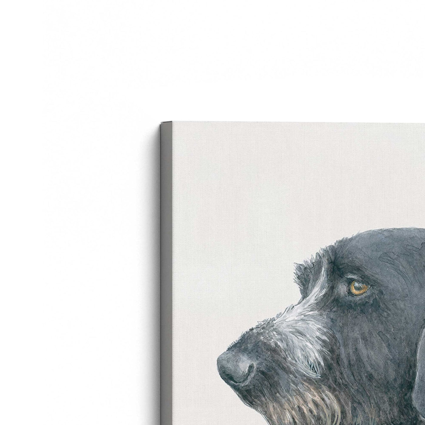 [Color:Stretched Canvas], Picture of the corner of the art