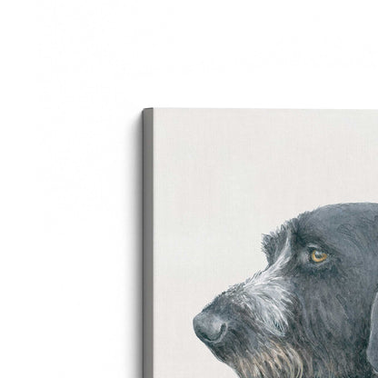 [Color:Stretched Canvas], Picture of the corner of the art